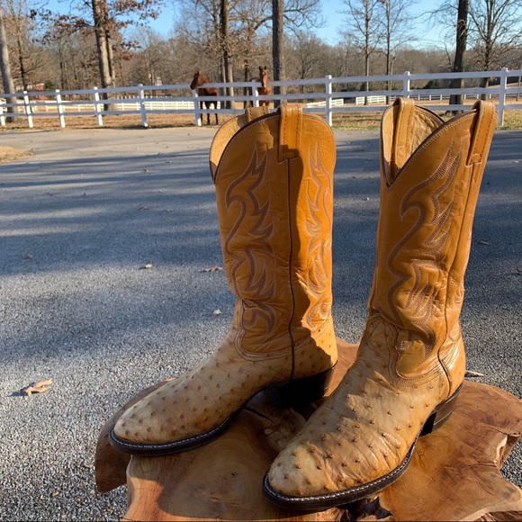 VERY RARE VINTAGE NOCONA OSTRICH COWBOY BOOTS - Picture 7 of 9